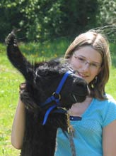 Pet–llama