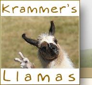 Krammer's Llamas Homepage