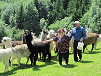 Familie Kollmann