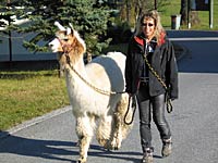Barbara und Hubert aus dem Schwarzwald