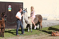 Robert Krammer bei Bauer sucht Frau