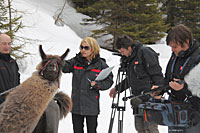 Robert Krammer im ORF-Interview