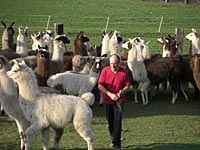 Vorbereitung der Versteigerung 2009
