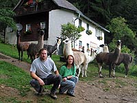 Lamaschnuppern - Caroline und Rudi