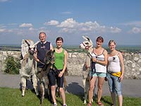 Lamaschnuppern - Familie Striok