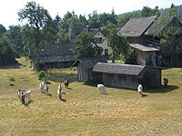 Rearing stud in Muehlbach