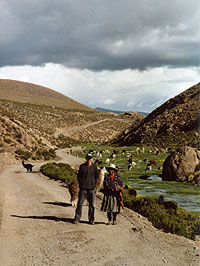 Altiplano 2006
