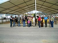 Krammers Lamas auf der Pferdemesse in Hollabrunn