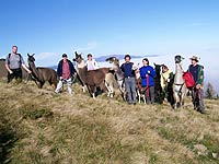 Erlebniswanderung in der Steiermark