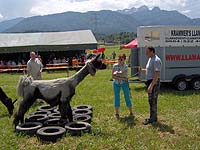 Lamafest 2008