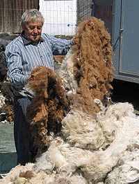 Lamaschnuppern
