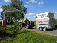 Krammers Lamas in Ungarn