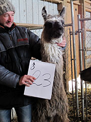 Suri Lama