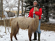 Suri Lama