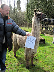 Suri Lama