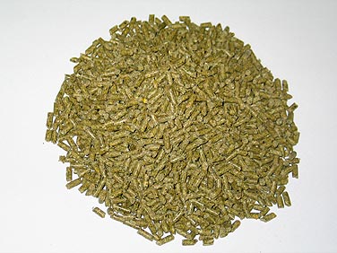 Llama Corn