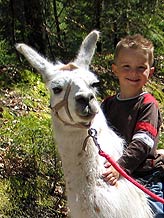 Lama-Trekking