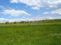 Trekking