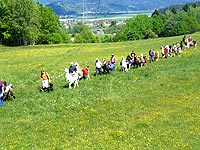 Trekking