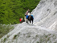 Trekking