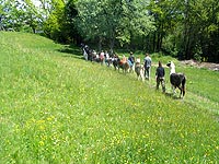 Trekking