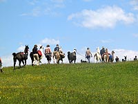 Trekking