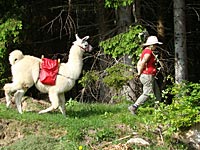 Lama-Trekking, Ines