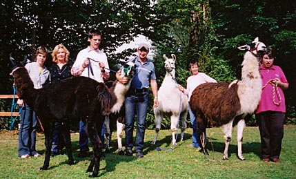 Lebenshilfe Kärnten