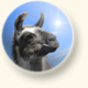 Krammers Lamas