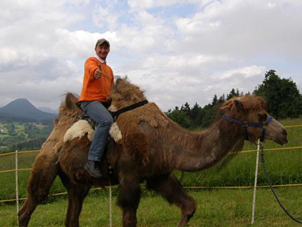 Robert Krammer auf Abwegen