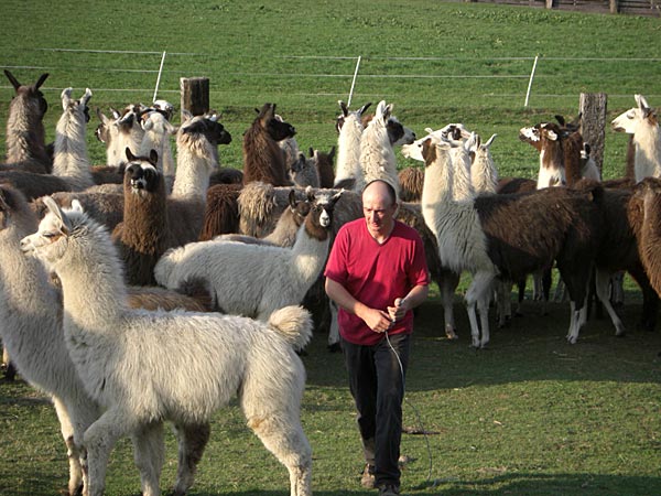 Robert Krammer bei der Vorbereitung der Versteigerung